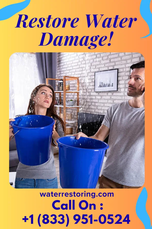 water restoration Master Water Cleanup Group Gentry