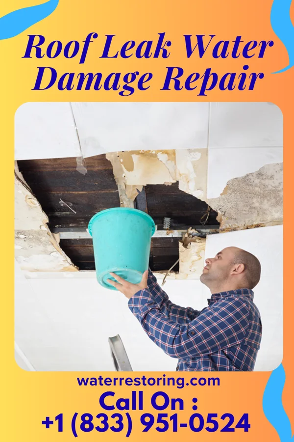 Roof Leak Water Damage Repair in Gentry, MO