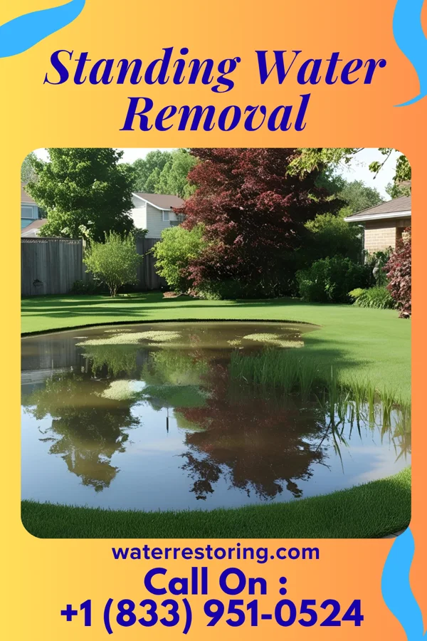Standing Water Removal in Gentry, MO